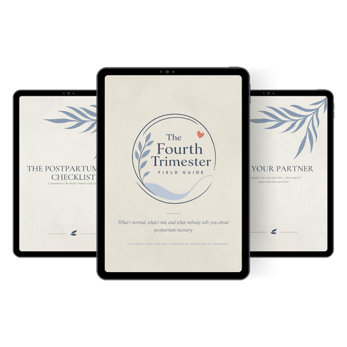 The Fourth Trimester Field Guide — Postpartum Recovery Guide - The Fourth Trimester Field Guide